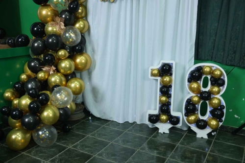 SRB20136